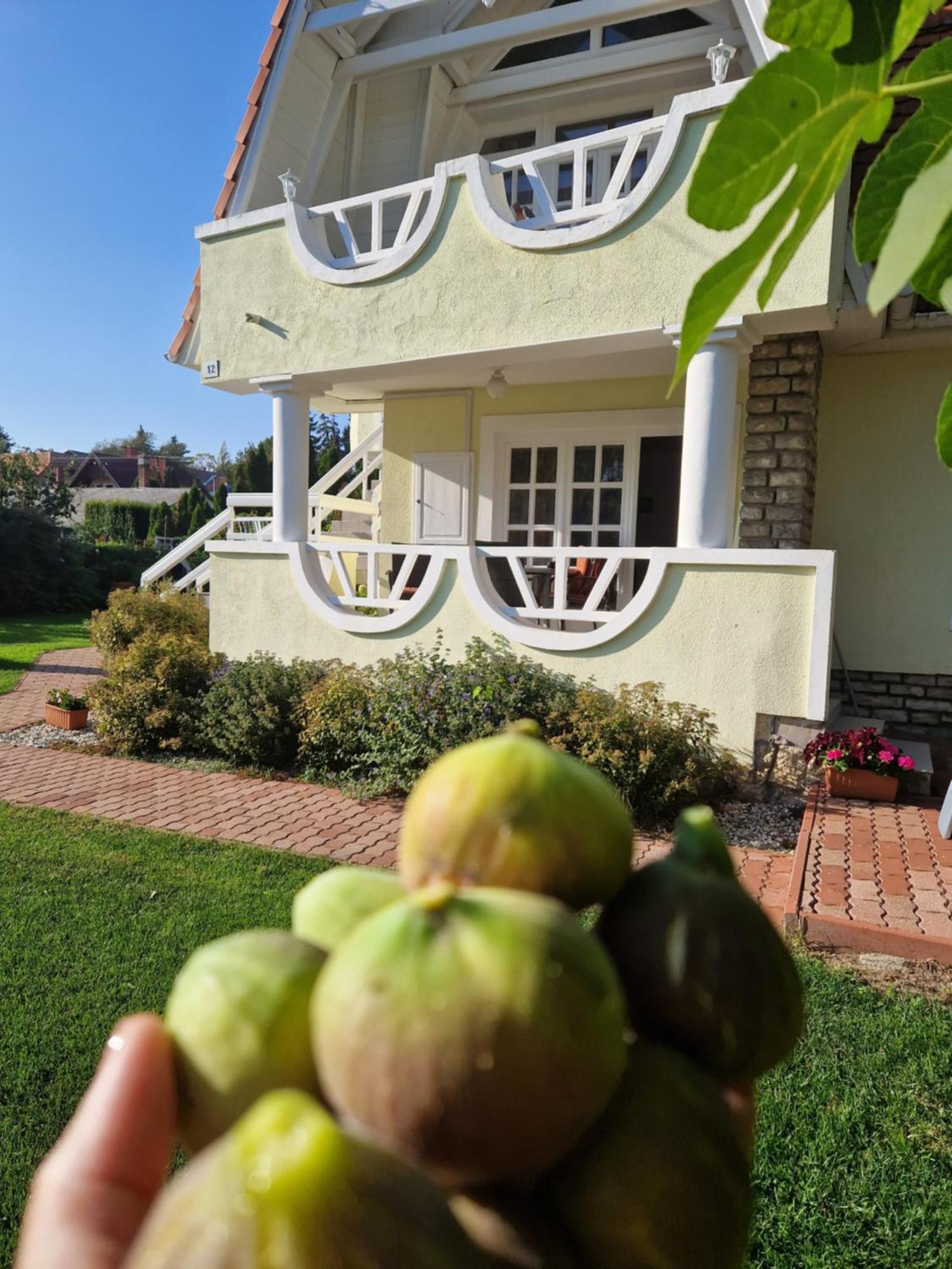 אפרטהוטל באלאטונפורד Balaton Apartman Fured מראה חיצוני תמונה